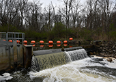 Trail Creek Sea Lamprey Barrier