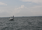 Lake Erie Charter Fishing